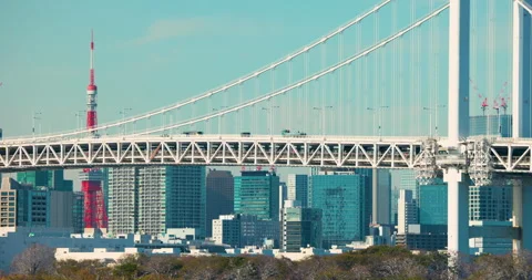 Rainbow Bridge frames Tokyo Tower and skyscrapers under a clear blue sky. Stock Footage 297141744