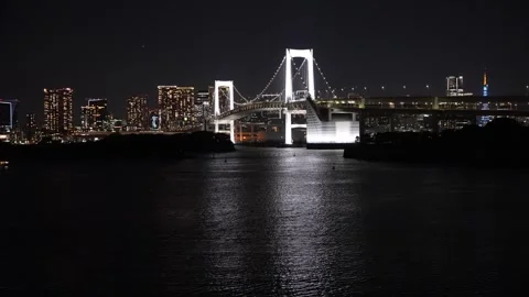 Rainbow Bridge at Night Viewed from Odaiba Seaside Park, Tokyo 스톡 동영상 344023562