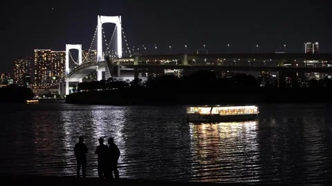 Rainbow Bridge at Night Viewed from Odaiba Seaside Park, Tokyo 스톡 동영상 344023565