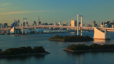Rainbow Bridge, Tokyo Tower, and Passing Ships at Dusk 動画素材 330338380