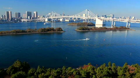 Rainbow Bridge, Tokyo Tower, and a Ship Vídeo Stock 330341383