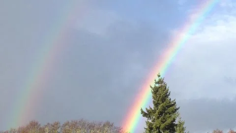 Rainbow bright colors Stock Footage 263779241