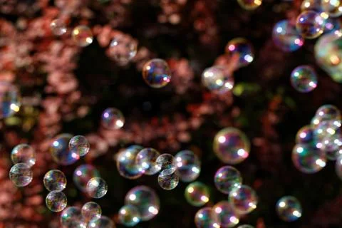 The rainbow bubbles from the bubble blower Stock-Fotos