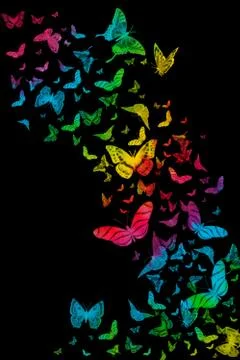 Rainbow butterflies Stock Photos