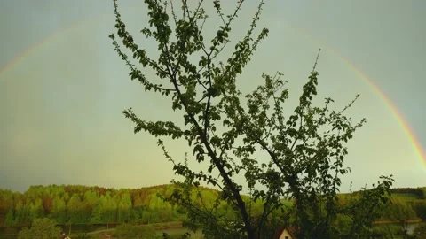 A rainbow can be seen behind the trees in the sun shining over the forest lake. Stock Footage 154744783