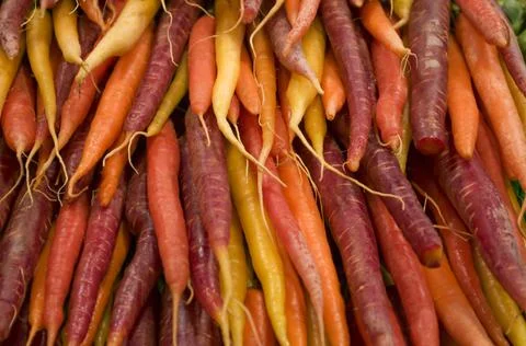 Rainbow carrots Stock Photos