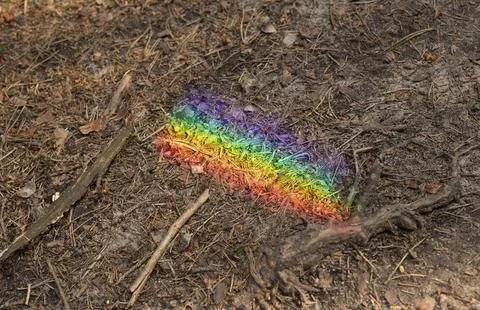 Rainbow chalk mark on dry forest ground. Colorful line lies across dirt, twig Stock Photos