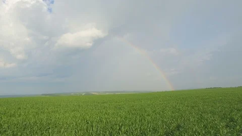 Rainbow on a cloudy sky over a field. Aerial View. Stock Footage 91835569