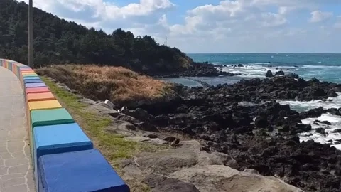 Rainbow coastal road walking path with ocean waves in Jeju Korea Stock Footage 331586915