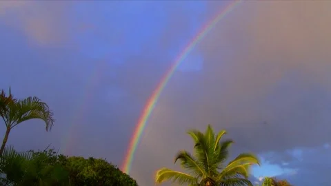 Rainbow with coconut palm time-lapse - Hawaii Stock Footage 70346411