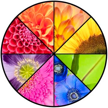 Rainbow collage of flowers in circular frame Stock Photos
