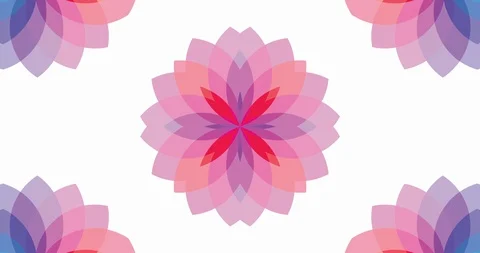 Rainbow color flower pattern in endless loop. Vídeos de archivo 89898757