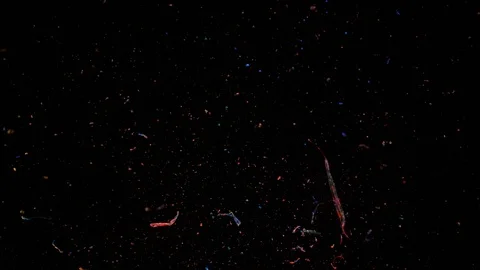 Rainbow color paint explodes and splashes. Slow Motion. Video stock 72866274