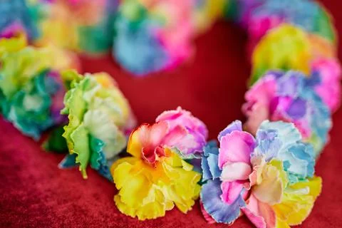 Rainbow colored carnations on red background. LGBTQ concept 库存照片