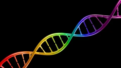 Rainbow Colored DNA Double Helix Isolated On Black Stock Footage 103721536