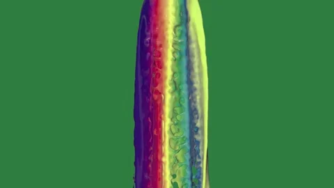 Rainbow colored object and colorful fish on bottle water background liquid Stock Footage 337029920