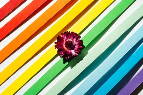 Rainbow colored paper stripe waves Stock Photos
