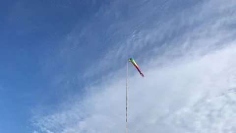 Rainbow colored wind sock blowing in the wind Video stock 173605530