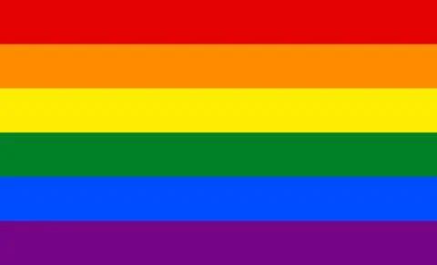 Rainbow colors vector image pride flag Stock-Illustration