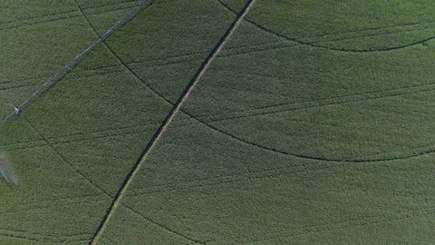 Rainbow on corn crop irrigation system on farm Stock Footage 136691895