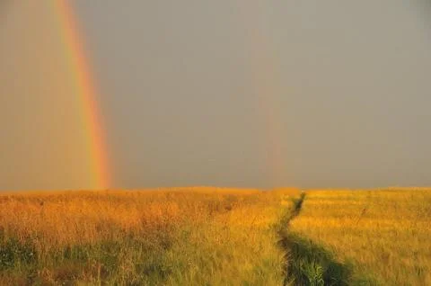 Rainbow in corn field Stock Photos