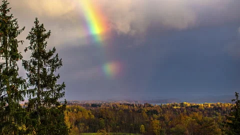 A rainbow crosses the sky over a forest in Autumn during a sprinkling rain Stock Footage 203711385