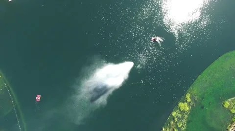 Rainbow echo park boats drone Stock-Footage 55276883