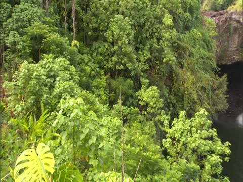 Rainbow Falls Stock Footage 22243126