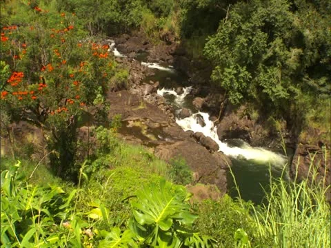 Rainbow Falls Stock-Footage 22243129