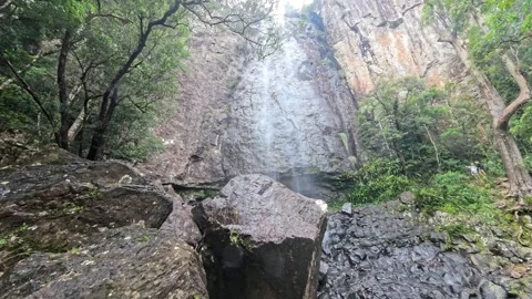 Rainbow Falls Springbrook National Park Queensland Australia Stock-Footage 327814878