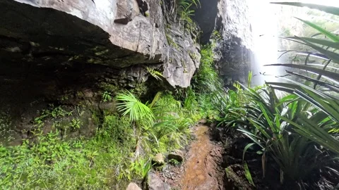 Rainbow Falls Springbrook National Park Queensland Australia Vídeo Stock 327815147