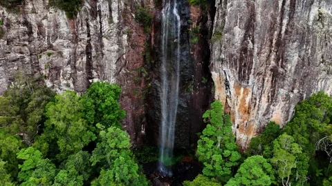 Rainbow Falls Springbrook National Park Queensland Australia Stock Footage 327815286