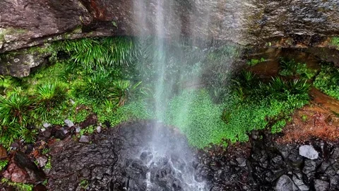 Rainbow Falls Springbrook National Park Queensland Australia Stock-Footage 327815347