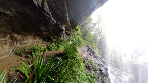Rainbow Falls Springbrook National Park Queensland Australia Stock-Footage 327815411