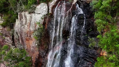 Rainbow Falls Springbrook National Park Queensland Australia Stock Footage 327816964