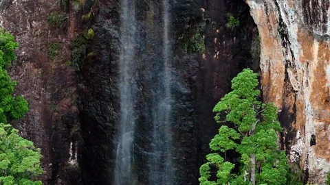 Rainbow Falls Springbrook National Park Queensland Australia Stock Footage 327817343