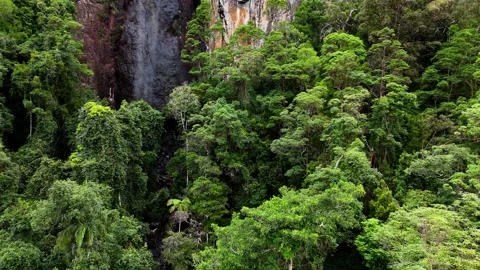 Rainbow Falls Springbrook National Park Queensland Australia Stock Footage 327817985