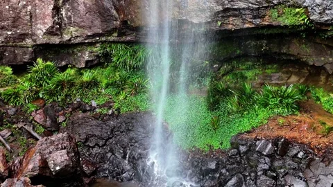 Rainbow Falls Springbrook National Park Queensland Australia Stock Footage 327818251