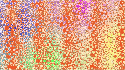 Rainbow Fantasy Background Animation. Stock Footage 296870077