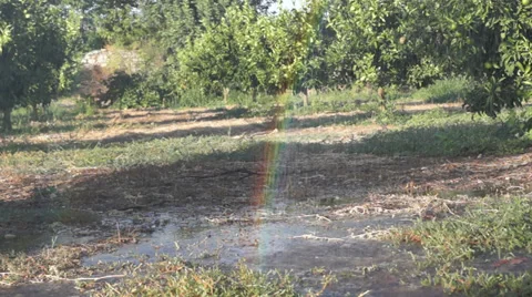 Rainbow In The Field Stock Footage 32552928