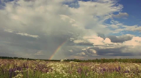 Rainbow in field Stock Footage