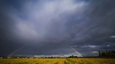 Rainbow in a field 库存影片 76756604