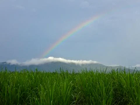 Rainbow in a field of grass Stock Photos