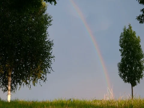 Rainbow on the field with trees and lightning Stock Footage 77860272