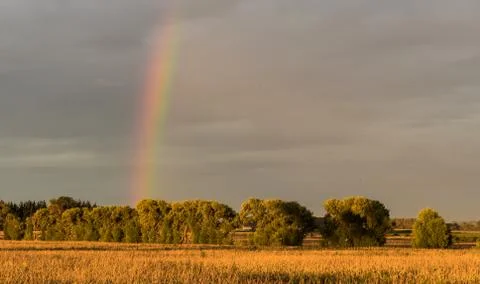 Rainbow Fields Stock Photos