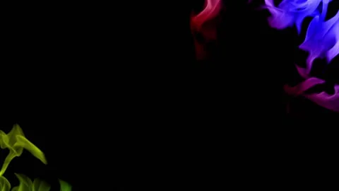Rainbow Fire flame loop animation Stock Footage 145933301