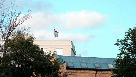 Rainbow flag blown by the wind. 库存影片 219171871