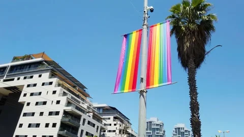 Rainbow flag on blue sky, palm tree and white building background Stock Footage 197332089