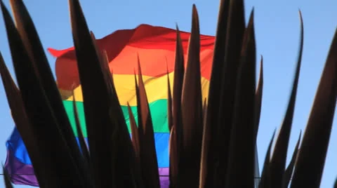 Rainbow Flag 库存影片 24833483