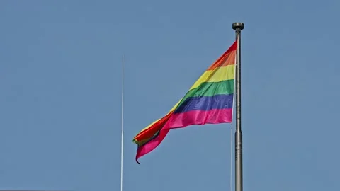 Rainbow flag Video stock 194654304